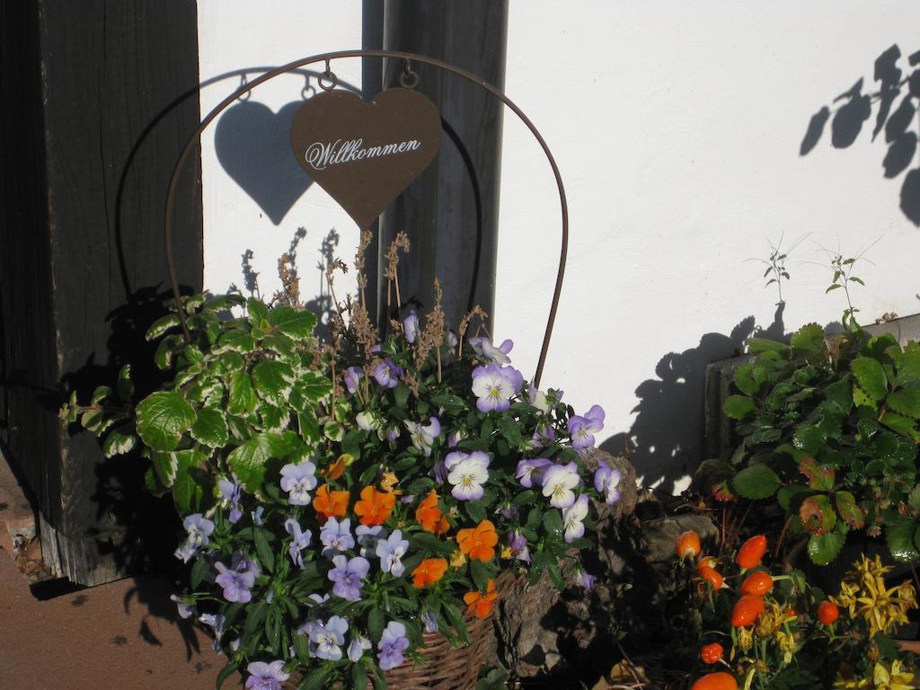 Hotel Dreikausens Landgasthaus Wildhof Cleeberg Exterior foto